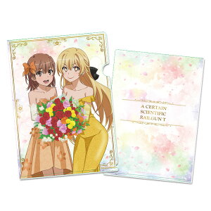 ƂȊw̒dCTi[Kj NAt@C ՁHIF