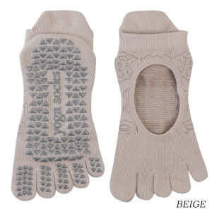 K\bNX seBX C K \bNX ~ 5{w KV[Y KEGA O Ε A[` T|[^[ oG   fB[X V[Y ̊ W zbgK _