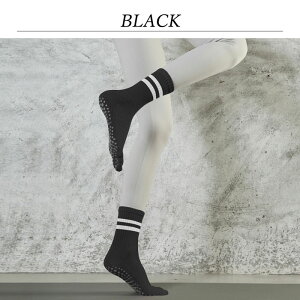 K\bNX K \bNX seBX C ~ 5{w KV[Y KEGA O Ε A[` T|[^[ oG   fB[X V[Y ̊ W zbgK _