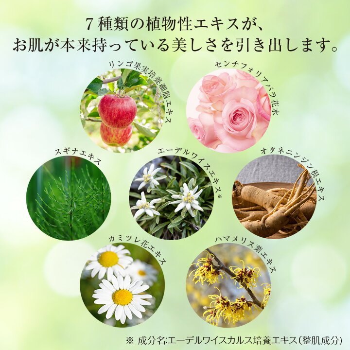楽天市場】【期間限定P2倍】レチノール 美容液【ドクターズコスメ 