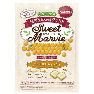 XEB[g}[r[ v|XLfB 49g×3yHABAzy[֑z