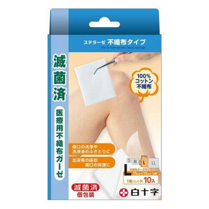 FCXe[[ sDz^Cv LTCY 10y\zy䂤pPbgptΉz