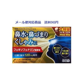 【第2類医薬品】 スカイブブロンHI 60錠 日野薬品工業 メール便対応商品 送料185円'