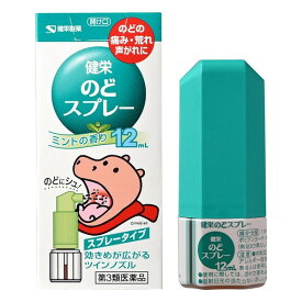 【第3類医薬品】《健栄製薬》 健栄のどスプレー 12mL