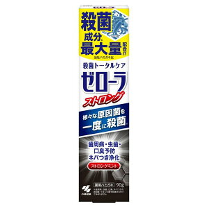 y򕔊Oizsѐt [[ XgO~g 90g