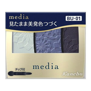 sJl{Et fBA OfJ[ACVhEN BU-01 3.1g