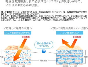 花王Curel(キュレル)潤浸保湿フェイスクリーム40g【医薬部外品】