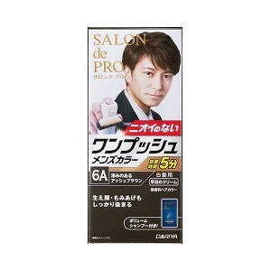 y򕔊Oizs_t Thv vbVYJ[ipj 6A [݂̂AbVuE