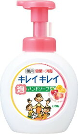 キレイキレイ 薬用泡ハンドソープ 本体大型サイズ フルーツミックスの香り 500ml