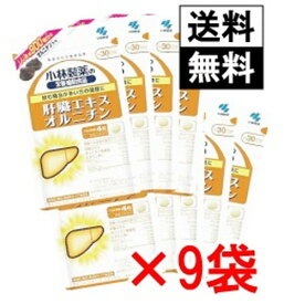 小林製薬 肝臓エキスオルニチン 120粒×9袋 まとめ買いセット【メール便配送 代引不可 送料無料】