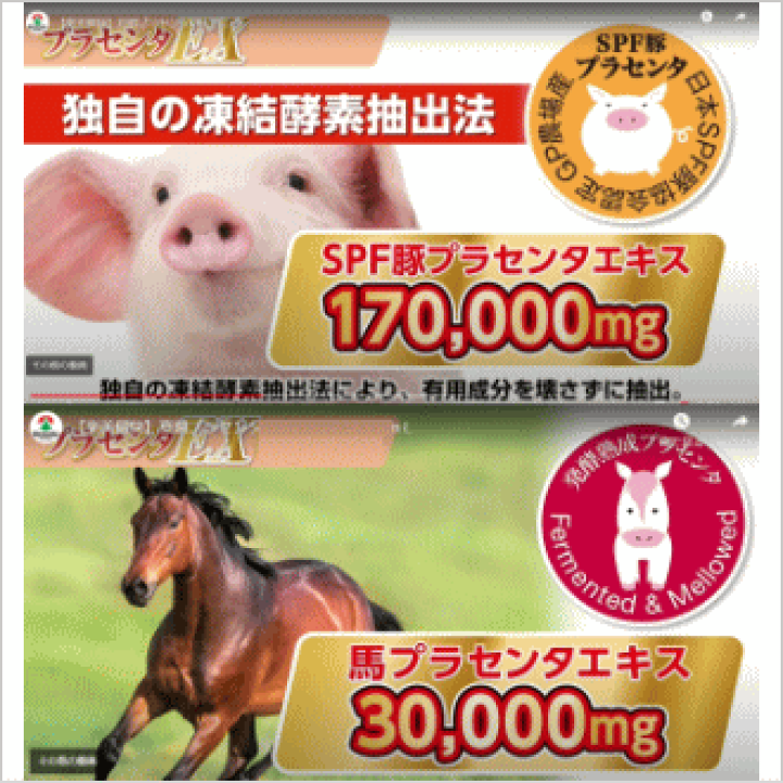 プラセンアレフ真潤EX2個 楽天市場】送料無料 健美舎 プラセンアレフ 真潤EX 90粒入×1個
