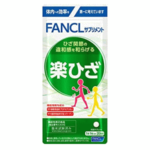 t@P yЂ 20(20) y@\\HizyŗΏ