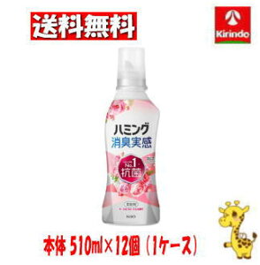 yP[X̔ z12Zbg ԉ n~OL [Yt[̍ { 510ml