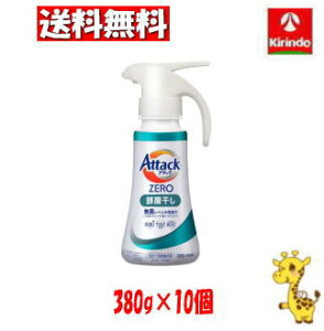 yP[X̔ z10Zbg ԉ A^bNZERO  nh^Cv 380g