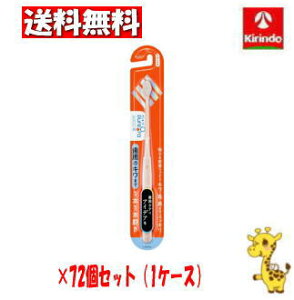 yP[X̔ z72Zbg ԉ sI[36500nuV 1{1{ 炩߁F͂Iт܂