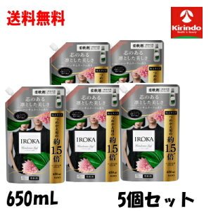 【在庫限り】送料無料 5個セット 花王 IROKA 柔軟剤 イロカ 柔軟剤 ハンサムリーフの香り 詰め替え スパウト 650mL×5個 イロカ 柔軟剤 イロカ ハンサムリーフ 大サイズ