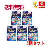 残暑応援セール！ 送料無料 5箱セット 【第(2)類医薬品】 ロート製薬 メンソレータム エクシブ W ディー…