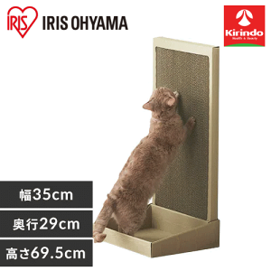 ACXI[} L̒܂Ƃ X^h^Cv P-NTS-700R i`×1