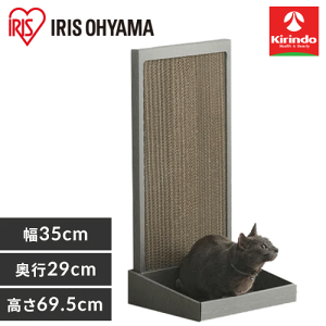 ACXI[} L̒܂Ƃ X^h^Cv P-NTS-700R uE×1