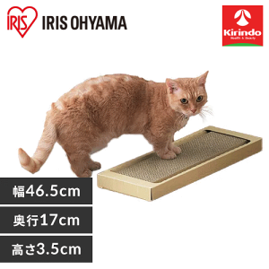 12/4()20SiP{10{vGg[ ACXI[} L̒܂Ƃ X^Cv NTST-1P i`×1