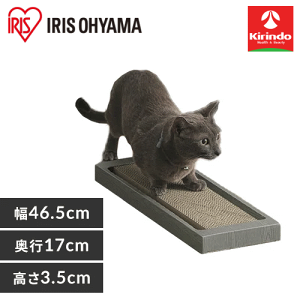 ACXI[} L̒܂Ƃ X^Cv NTST-1P uE×1