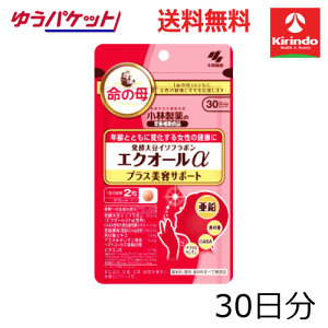 䂤pPbgő ѐ̉h{⏕Hi(Tvg) y哤C\t{ GNI[ vXeT|[g 60(30)×1