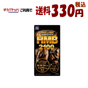 䂤pPbgő330~ EGlXCtTCGX rht@Cg HMB2100 120yyŗΏۏiz