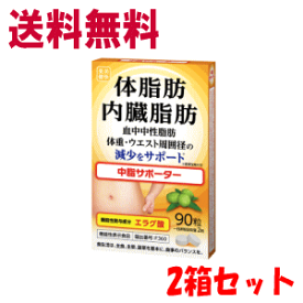 送料無料【2箱セット】健美舎 中脂サポーター 90粒×2 【機能性表示食品】