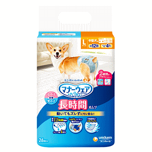 jE`[ ybg }i[EFA ԃIc LTCY 26