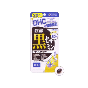 DHC yZT~+X^~i 20 120yŗΏ