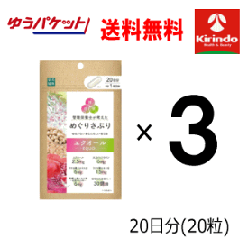 ゆうパケットで送料無料 3個セット 楽美健快 めぐりさぷり エクオール20粒×3個 軽減税率対象商品 女性にうれしいサポート成分配合 健康食品 さぷりメント