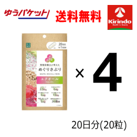 ゆうパケットで送料無料 4個セット 楽美健快 めぐりさぷり エクオール20粒×4個 軽減税率対象商品 女性にうれしいサポート成分配合 健康食品 さぷりメント