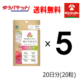 ゆうパケットで送料無料 5個セット 楽美健快 めぐりさぷり エクオール20粒×5個 軽減税率対象商品 女性にうれしいサポート成分配合 健康食品 さぷりメント