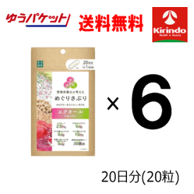 ゆうパケットで送料無料 6個セット 楽美健快 めぐりさぷり エクオール20粒×6個 軽減税率対象商品 女性にうれしいサポート成分配合 健康食品 さぷりメント