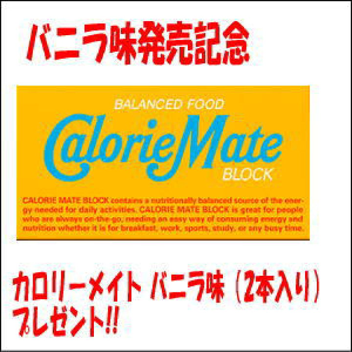 送料無料 大塚製薬 カロリーメイト ブロック4本入り 60 チョコレート
