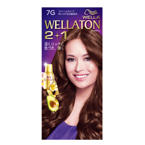 P&G EGg[2+1 N[^Cv 7G 邢ĝ݂IF