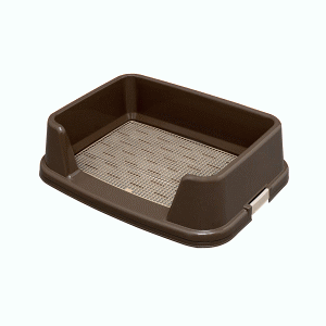 12/4()20SiP{10{vGg[  ACXI[}() g[jOgC uE