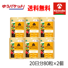 ゆうパケットで送料無料 6個セット 楽美健快 めぐりさぷり マルチビタミン&ミネラル 20日分(80粒入)×6袋セット 栄養機能食品 楽美健快 めぐりさぷり