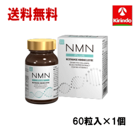 送料無料 健美舎 NMN+(PULS) 60粒×1個 話題のエイジングケアサプリ NMN(β-ニコチンアミドモノヌクレオチド)