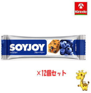 y12Zbgz ː \CWC u[x[ 30g×12i yŗΏۏij