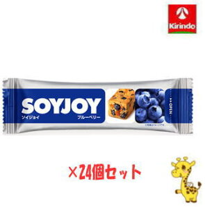 y24Zbgz ː \CWC u[x[ 30g×24i yŗΏۏij