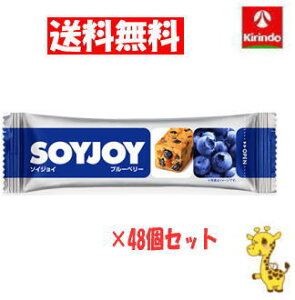 y 48Zbgz ː \CWC u[x[ 30g×48 iyŗΏۏij