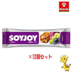 y12Zbgz ː \CWC 3̃[Y 30g×12 iyŗΏۏij