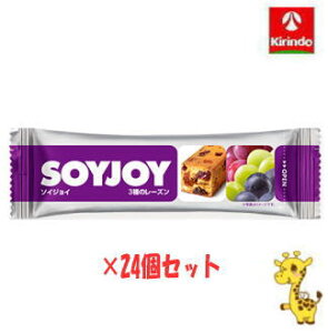 y24Zbgz ː \CWC 3̃[Y 30g×24 iyŗΏۏij