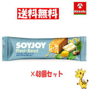 y 48Zbgz ː \CWC vgx[X zCg`R 25g×48 iyŗΏۏij