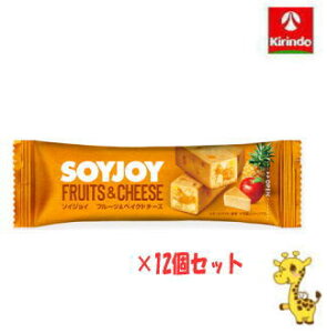 y12Zbgz ː \CWC t[cxCNh`[Y 30g×12i yŗΏۏij