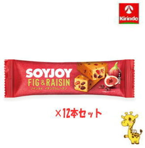 y12Zbgz ː \CWC C`WN[Y 30g×12 iyŗΏۏij