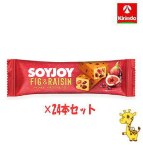 y24Zbgz ː \CWC C`WN[Y 30g×24i yŗΏۏij