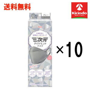  10Zbga R[ O_Ch}XN t[TCY O[ 20×10 qpi