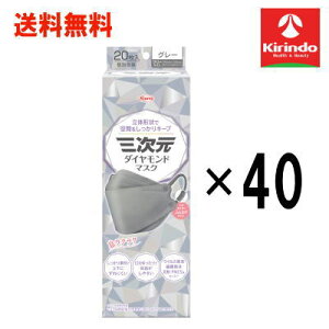  40Zbga R[ O_Ch}XN t[TCY O[ 20×40 qpi